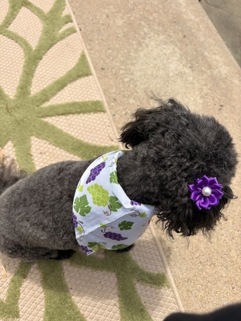 Photo shared with Sandy Y.’s Google review